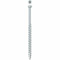 Hot House Designs 9 x 2.5 in. Fin Trim Stainless Steel Screw HO1838401